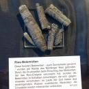Belemnites fractured by meteor impact, from the Nördlinger Ries - Naturhistorisches Museum Nürnberg - Nuremberg, Germany - DSC04174